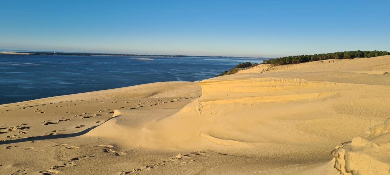 Les Callunes Chambres D'Hotes Et Location Meublee A 800 M De La Plage ! Lanton Buitenkant foto